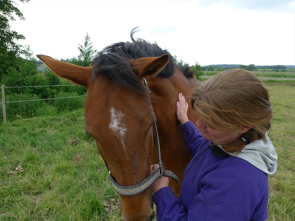 Palomino Charming Miss - Behaving - Togetherness :-)
 billede 16