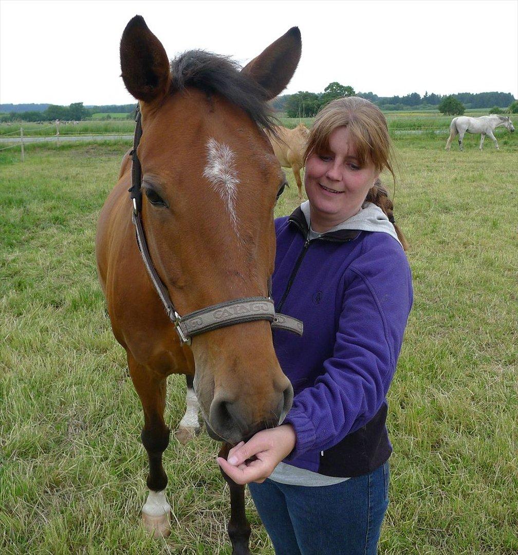 Palomino Charming Miss - Behaving billede 17