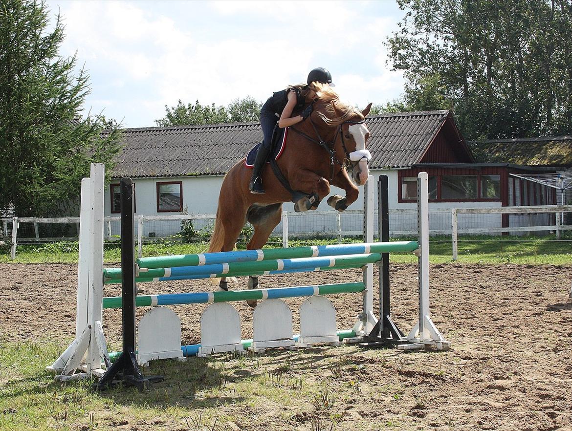 Frederiksborg Burgdorff Gucci <3 - Evt springer han bare med lidt overskud ;) Jeg elsker dig Gucci <3 billede 2