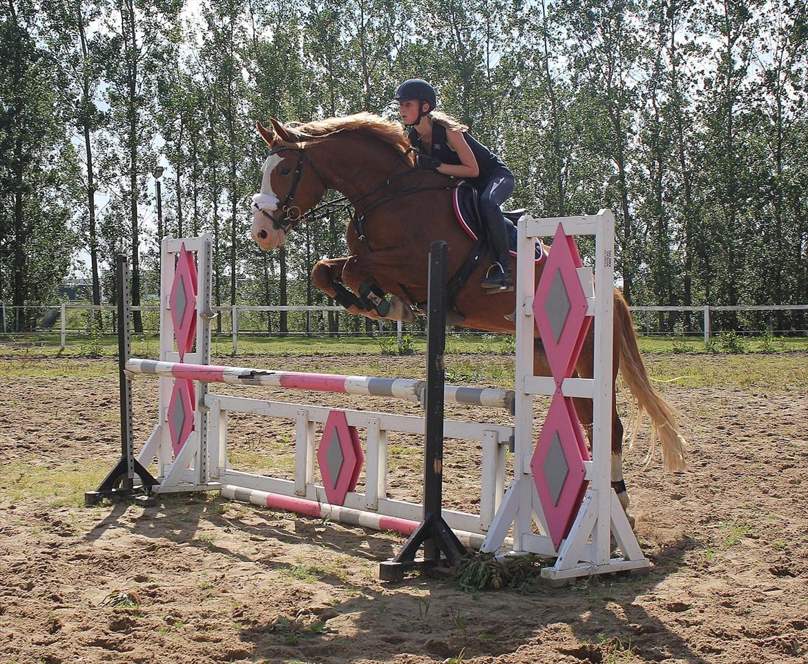 Frederiksborg Burgdorff Gucci <3 - Du er noget SÅ sej! <3 billede 16