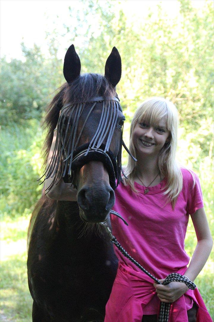 Tysk Sportspony Bonnie  - 2 hjerter, 4 øjne, 6 ben, 2 hjerner - men kun 1 team - Os 2 forevigt! :D *Foto Syrine Glambert* billede 2