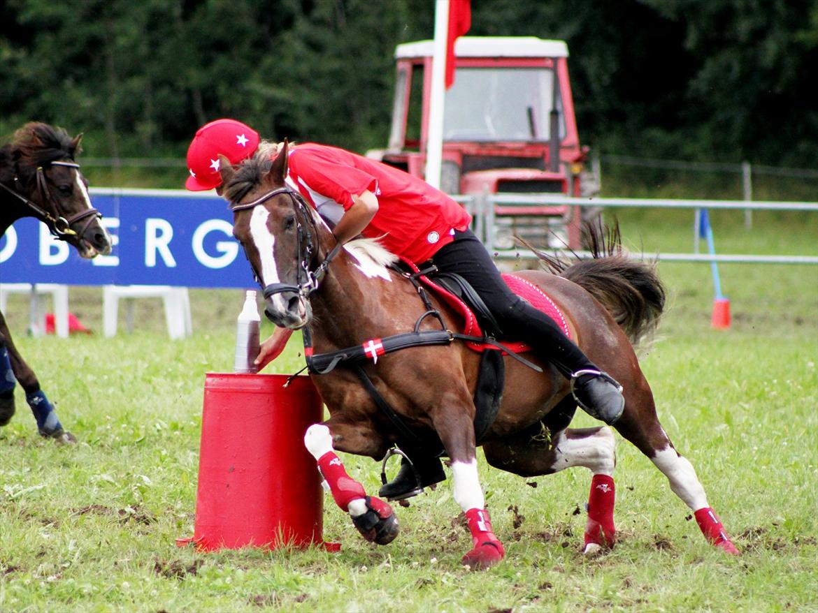 Anden særlig race Shady Lady - VM 2011 - Bottle Shuttle billede 7