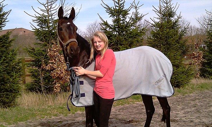 Hollandsk Sportspony Annelies (Anne) - Kærlighed er som en rose. For at den kan vokse og være pæn, skal man passe på den og være tålmodig. Indimellem stikker den, men det er det hele værd, når man tager sig tid og ser på hvor smuk den er billede 1