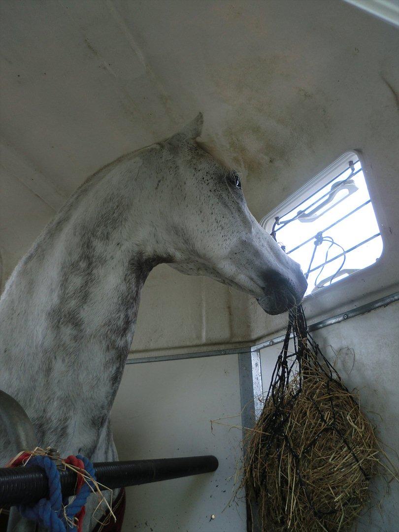 DSP Elskede Maluet <3 - Bevis på at Maluet HELT selv tager grimen af i traileren xD skøre tosse :D billede 20