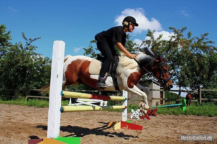 Anden særlig race Malou - Over 75cm.? :-)
<br>
<br>
Foto: Simone eller Signe? :-) billede 9