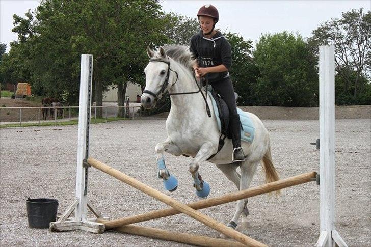 DSP Holmgaards Galant SOLGT - Spring.
 billede 11