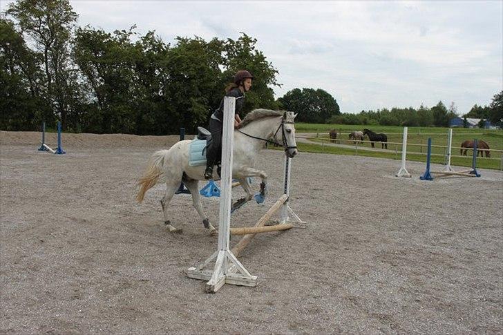 DSP Holmgaards Galant SOLGT billede 12