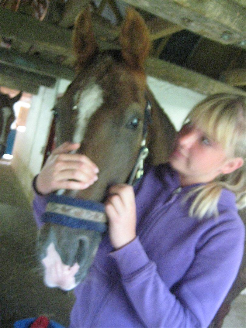 Anden særlig race Gambler billede 2