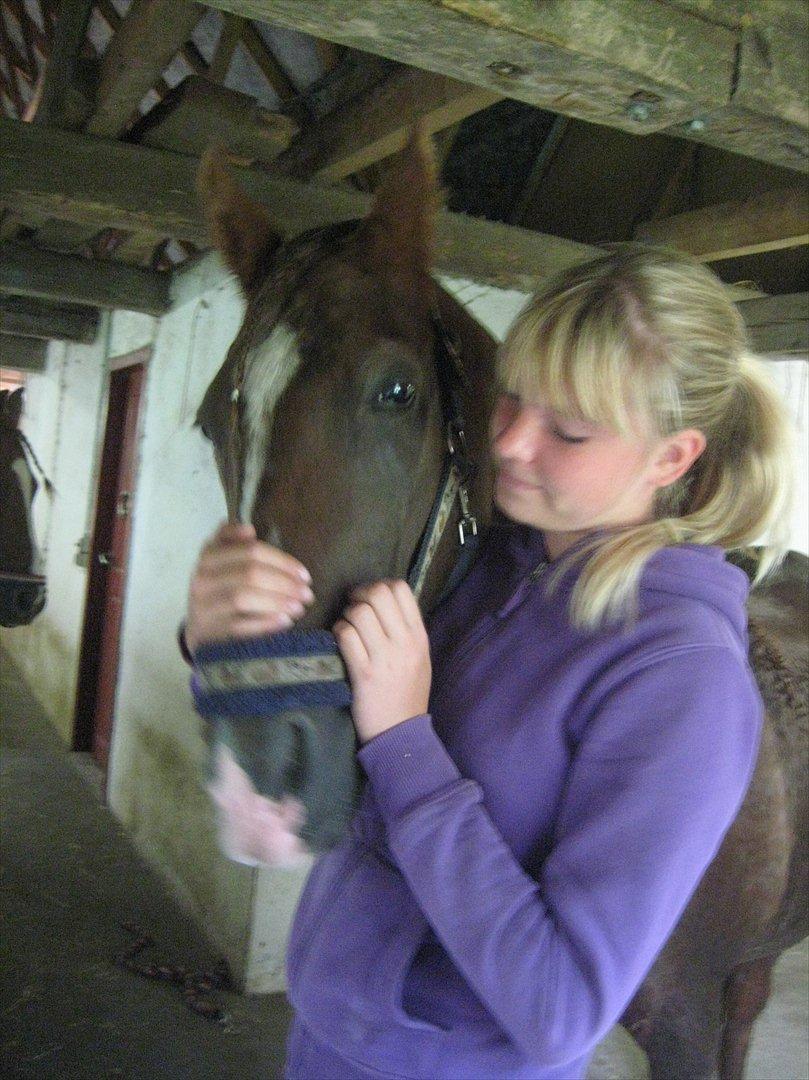 Anden særlig race Gambler billede 3