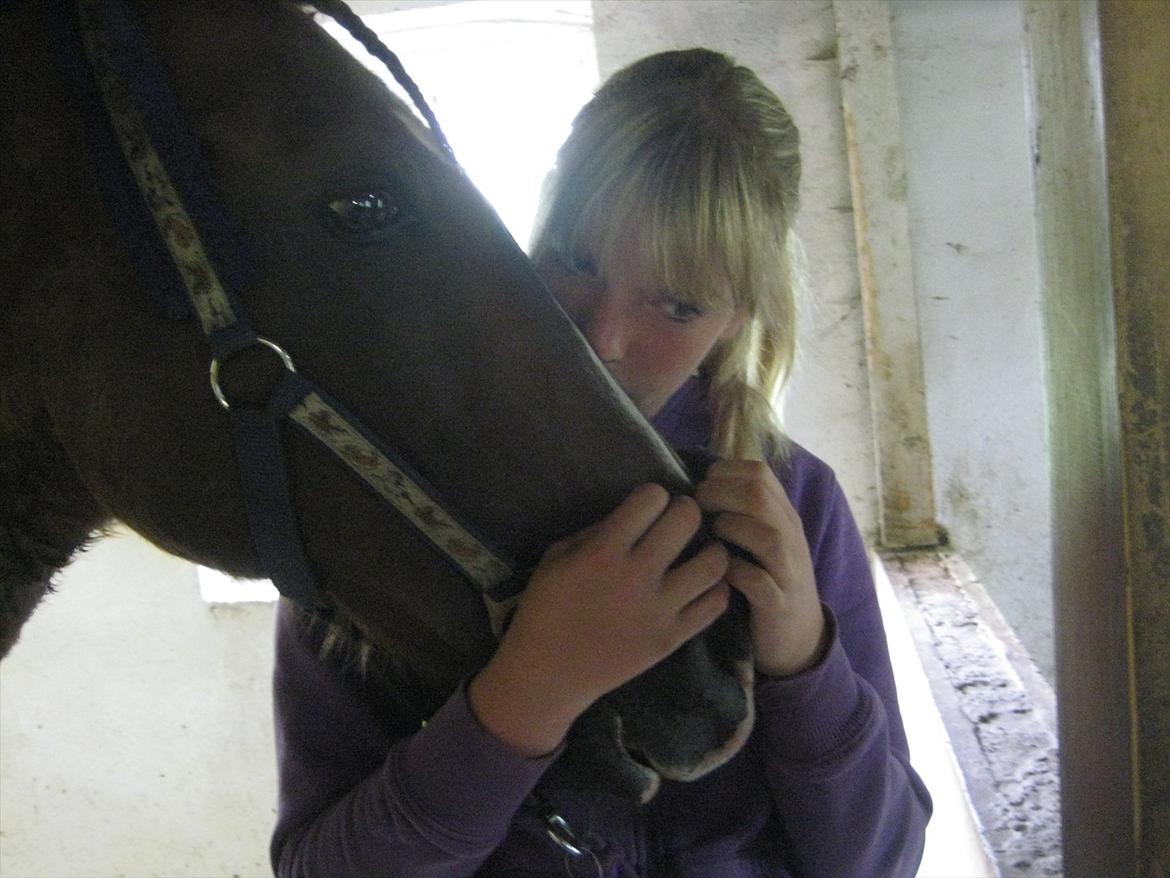 Anden særlig race Gambler billede 6