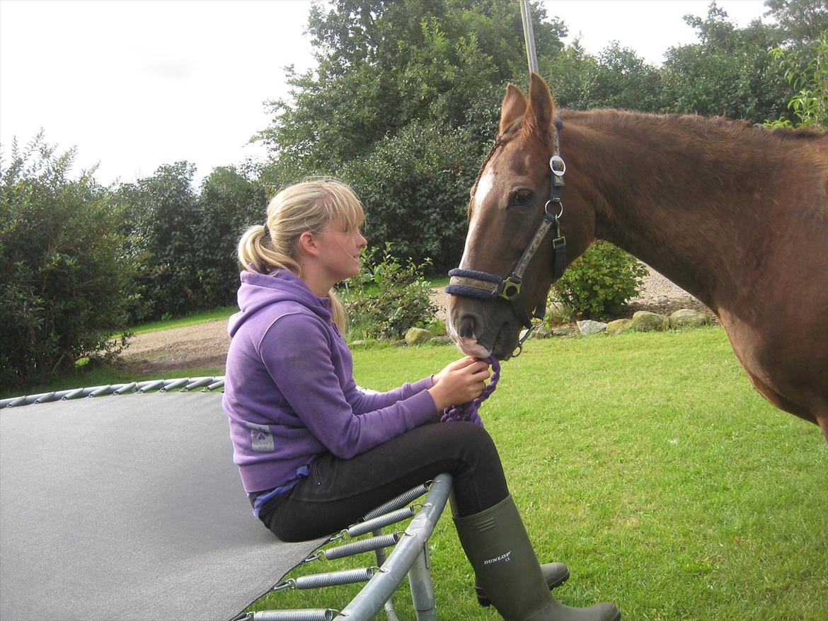 Anden særlig race Gambler billede 7