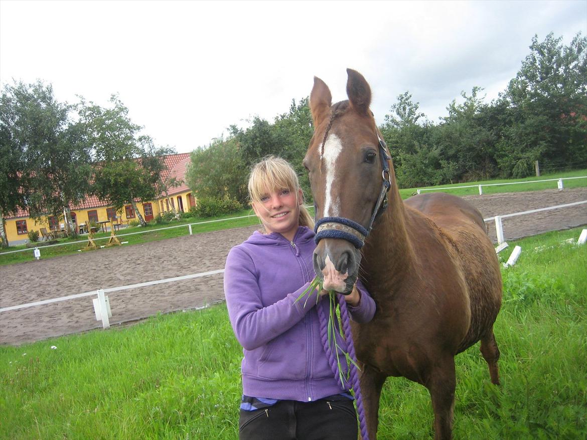 Anden særlig race Gambler billede 10