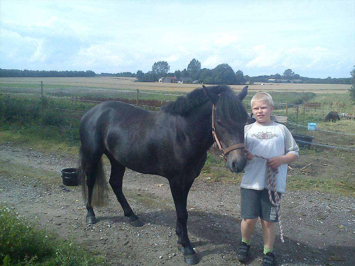 Connemara Pato (PART S Ø GES) billede 1