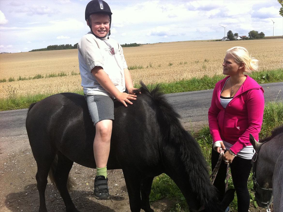 Connemara Pato (PART S Ø GES) billede 2