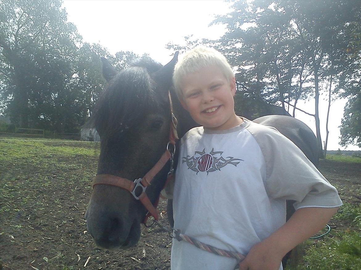 Connemara Pato (PART S Ø GES) billede 4