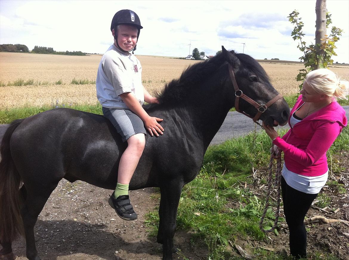 Connemara Pato (PART S Ø GES) billede 6