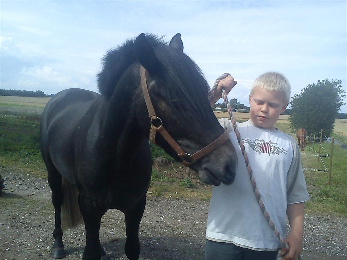 Connemara Pato (PART S Ø GES) billede 9