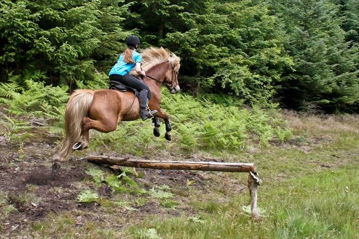 Islænder Ormur frá Tókastöðum  ~MinVildbasse<3~ - skøn hest og skønne omgivelser :3<3
Foto: Jonny L. billede 10