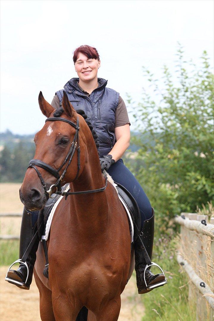 Anden særlig race Lilholm Romanó billede 3