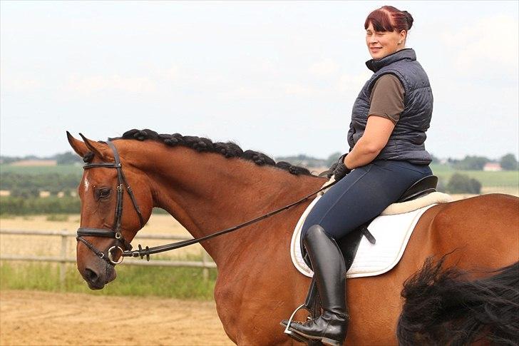 Anden særlig race Lilholm Romanó billede 18