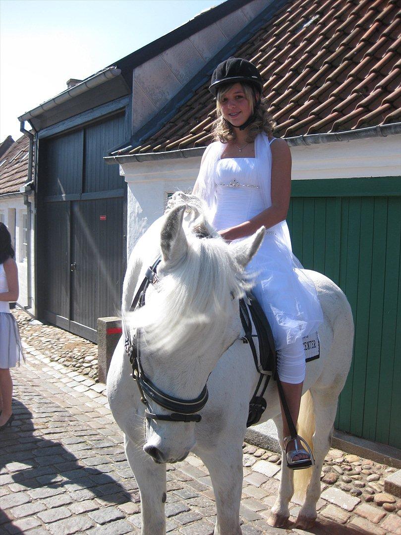 Connemara Hesselbjerggård Safir.  [Tidl. pony] - Og prisen kom til kirken til min konfirmation (':  billede 12