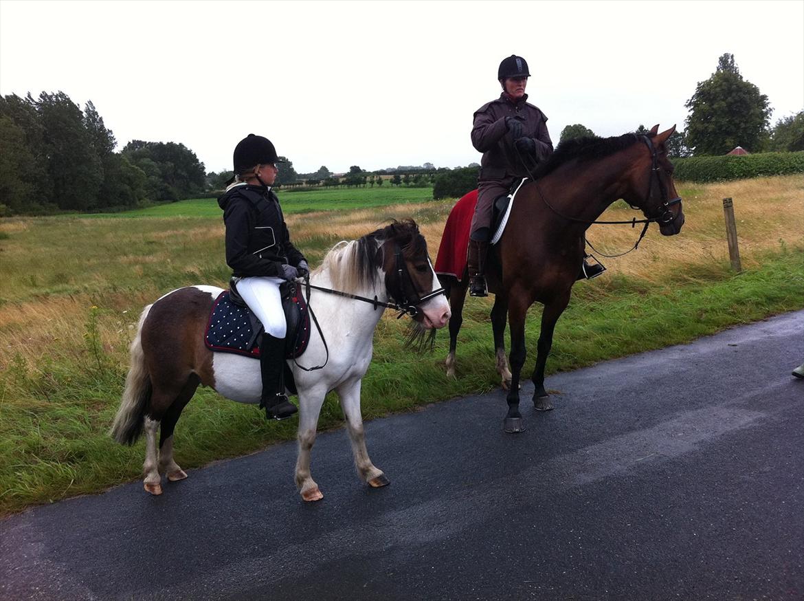 Anden særlig race Plet...<33 - Ridt sammen med tina maabo og 2 andre billede 3