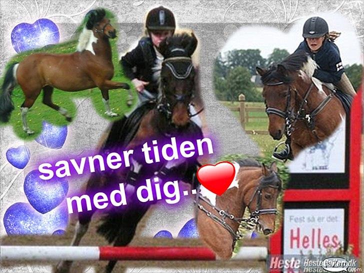 Anden særlig race LoverGirl [savnet] - Savner tiden!<3 billede 20