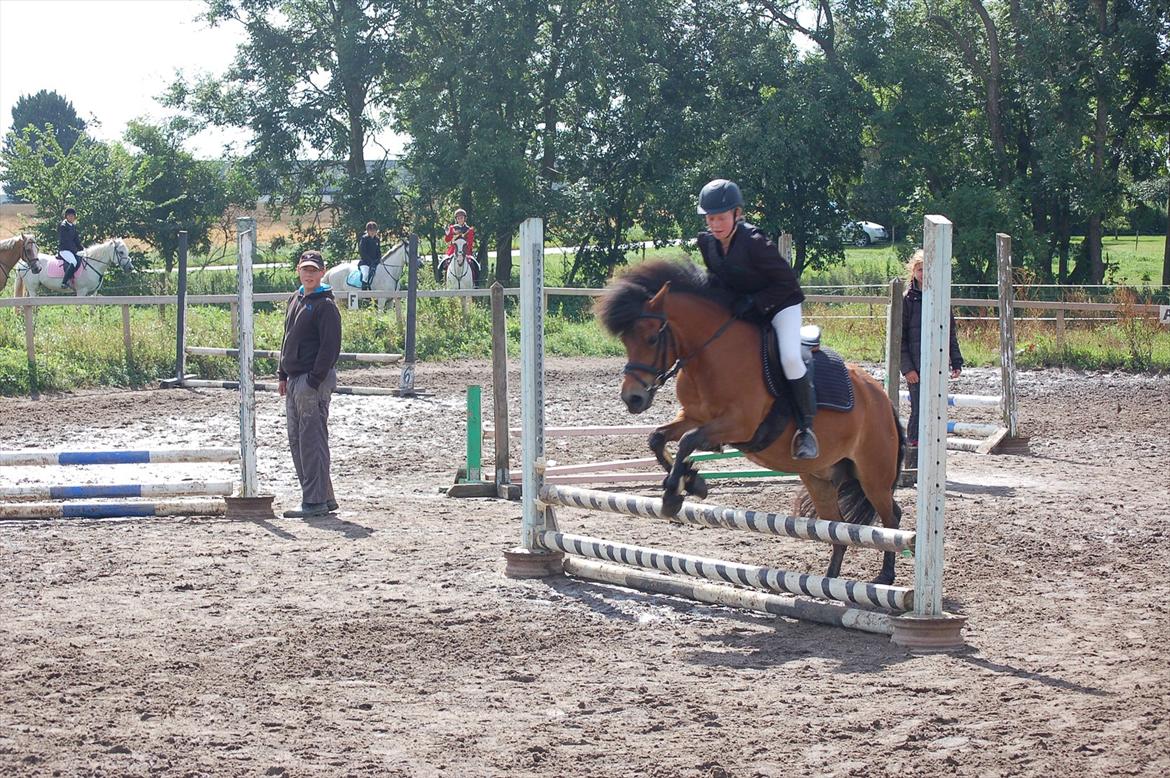 Anden særlig race Daisy - her tror jeg det er en LD ;) billede 16