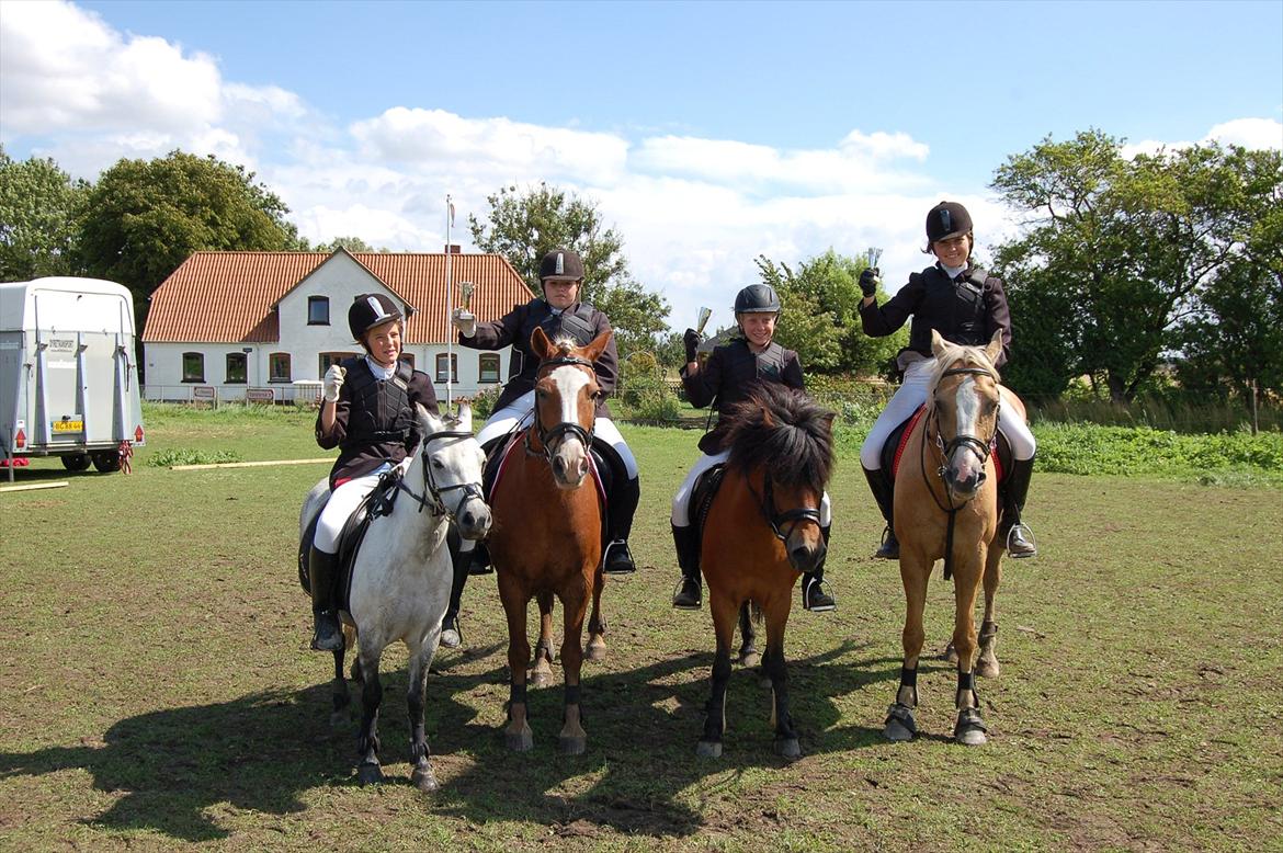 Anden særlig race Daisy - mig og mit hold har vundet holdspring her er vi med vores pokaler :) billede 18