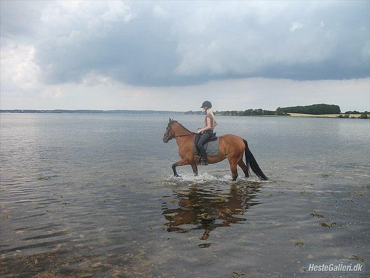DSP Malou - En dejlig dag ved vandet, med Camilla :D billede 8