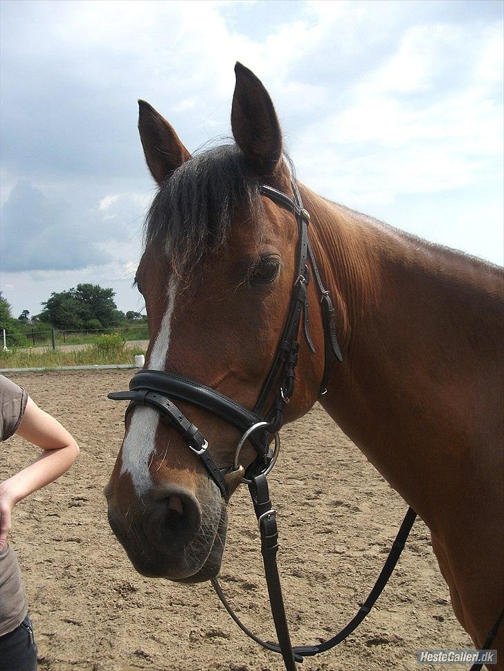 DSP Malou - Velkommen til Malou profil ;D billede 2