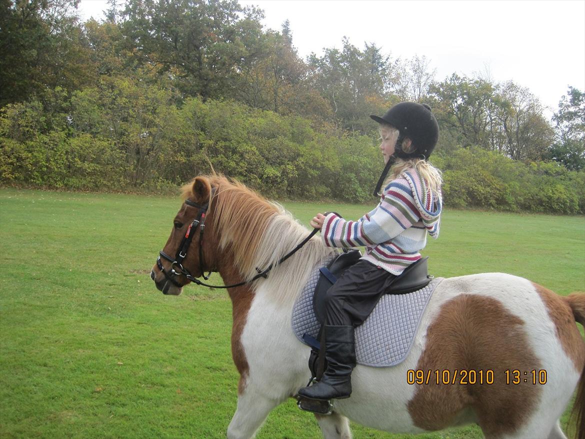 Anden særlig race Mexen - Min Lillesøster Rider på Ponyen<3 billede 5