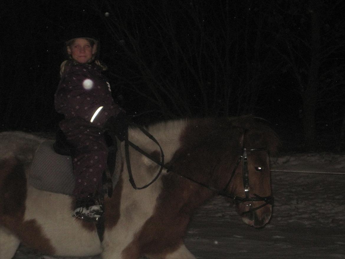 Anden særlig race Mexen - Undervisning med min søs :D
Dejlig vinter bamse:P billede 2