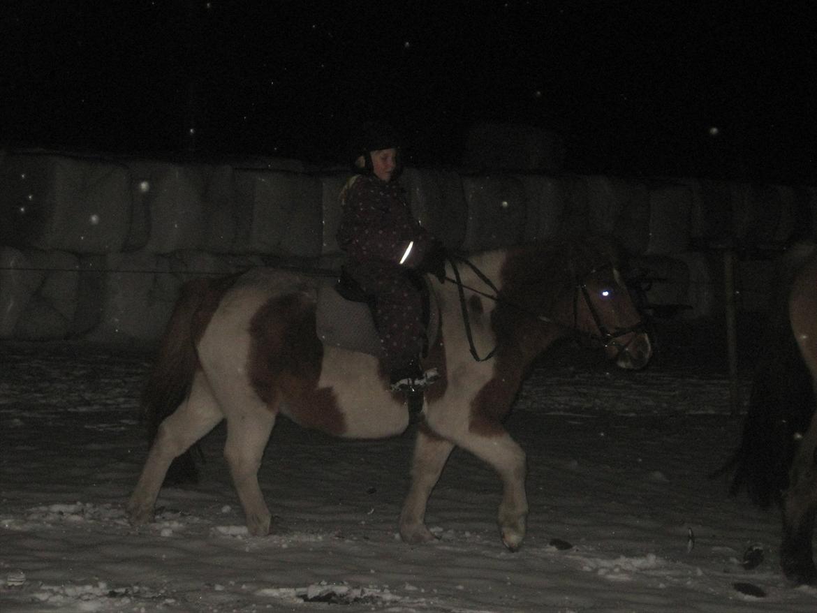 Anden særlig race Mexen - Undervisning med min søs :P billede 4