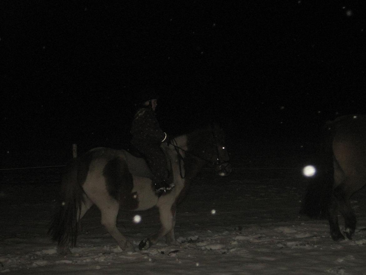 Anden særlig race Mexen - Undervisning med min søs :D
En masse Vinter pels:9 billede 6