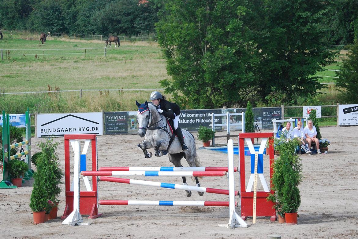 Dansk Varmblod Parcas - Karlslunde Open 2011, LB** eller LA** Foto: Min mor billede 3