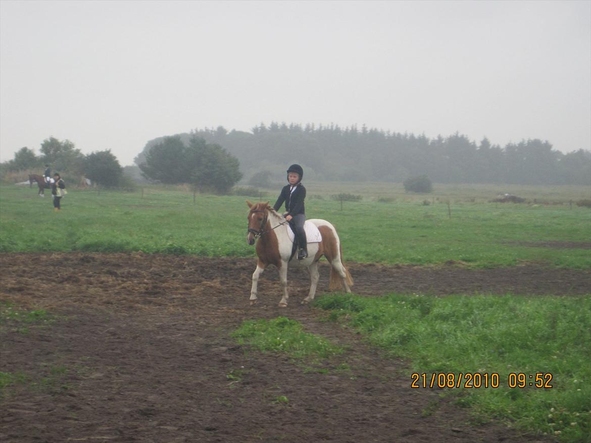 Anden særlig race Mexen - Stævne pony:P
Starte LD 1 med en sød pige, som hed Emma.....  billede 11