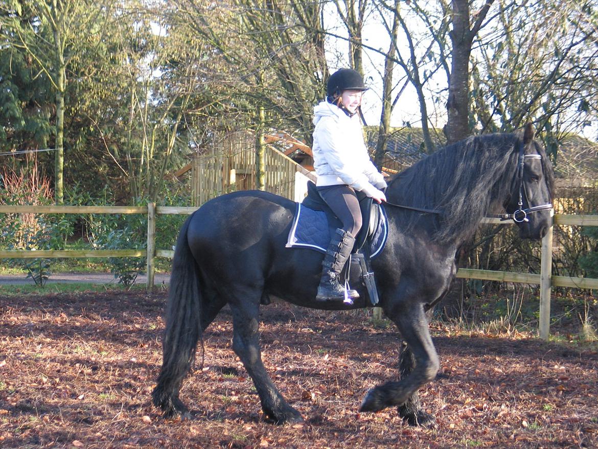 Frieser Jordy Van Zuidveld R.I.P. billede 6