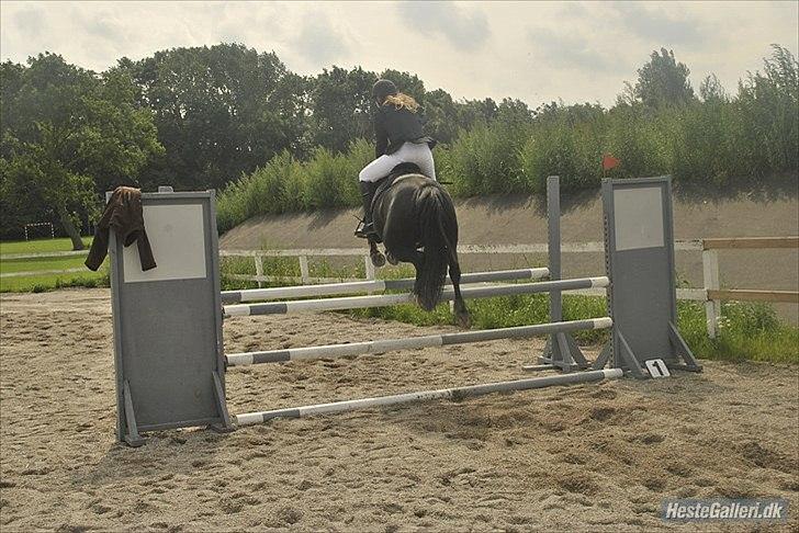 Anden særlig race (monique ) Madonna " baby'en" <3 - taget af: MariaSchjerningLambert

min første LA! vinder af klassen <3 loove 
hundested d. 7/8 2911  billede 19