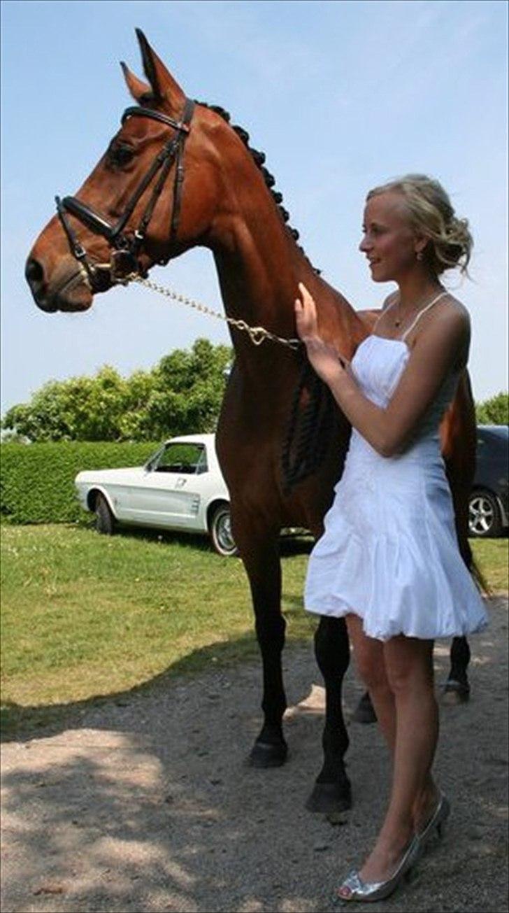 Dansk Varmblod Wolhøjgaards Cati - Cati og mig til min konfirmation..
22 Maj 2011.
Min dyrebareste skat. billede 1