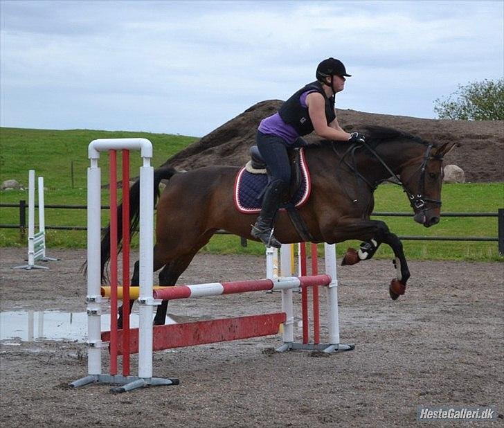 Anden særlig race Merlot R.I.P <3 - Merlot og mig der springer :P taget af Celina. B. :) billedet 12 billede 11