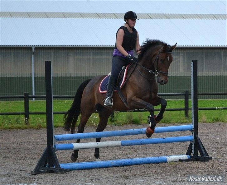 Anden særlig race Merlot R.I.P <3 - spuer godt billede af Merlot og mig <3 taget af Celina. B. billedet 6  billede 6