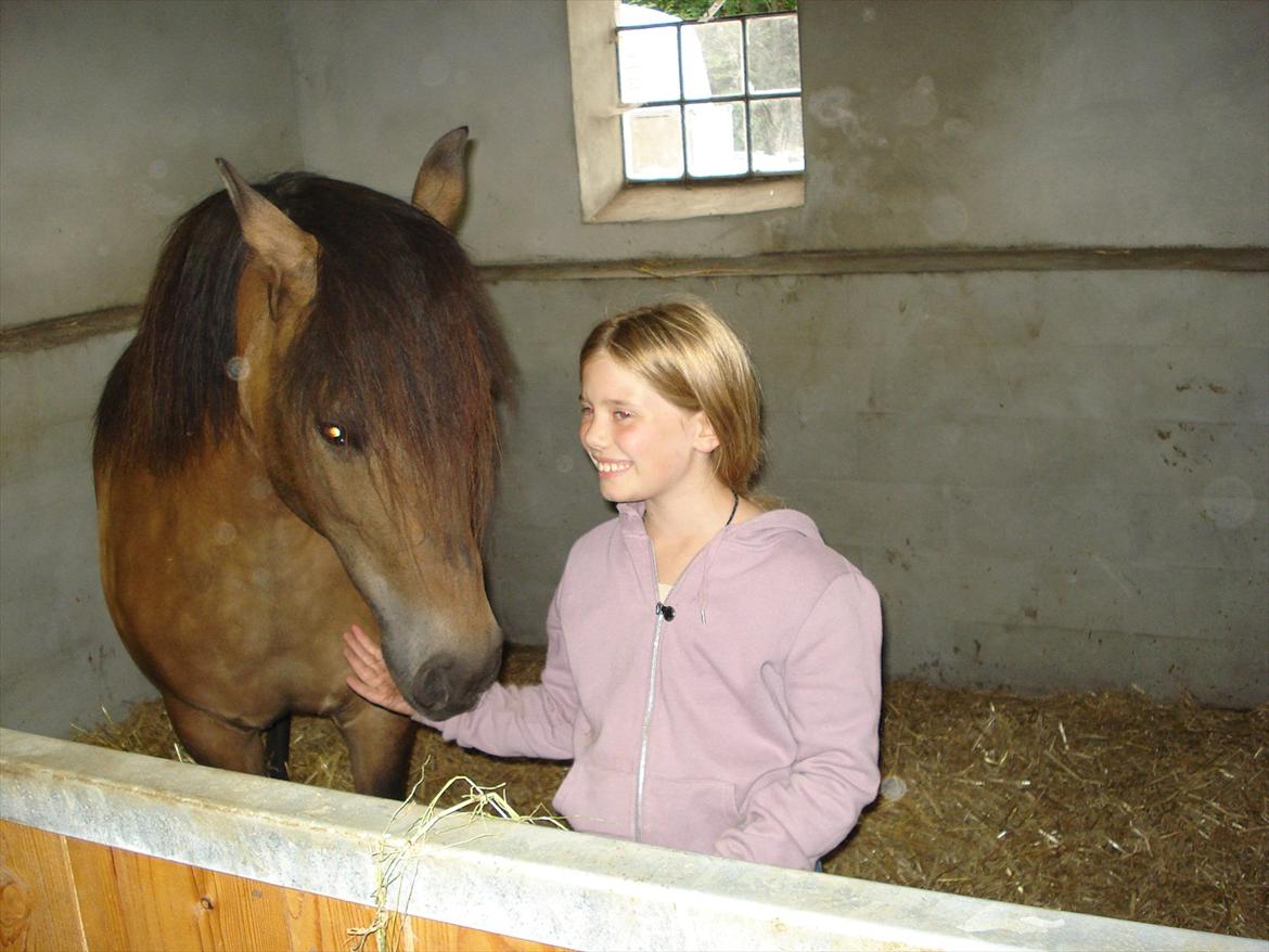 New Forest Horsemosens Timian - ''Har du mon noget Anna ?'' billede 5