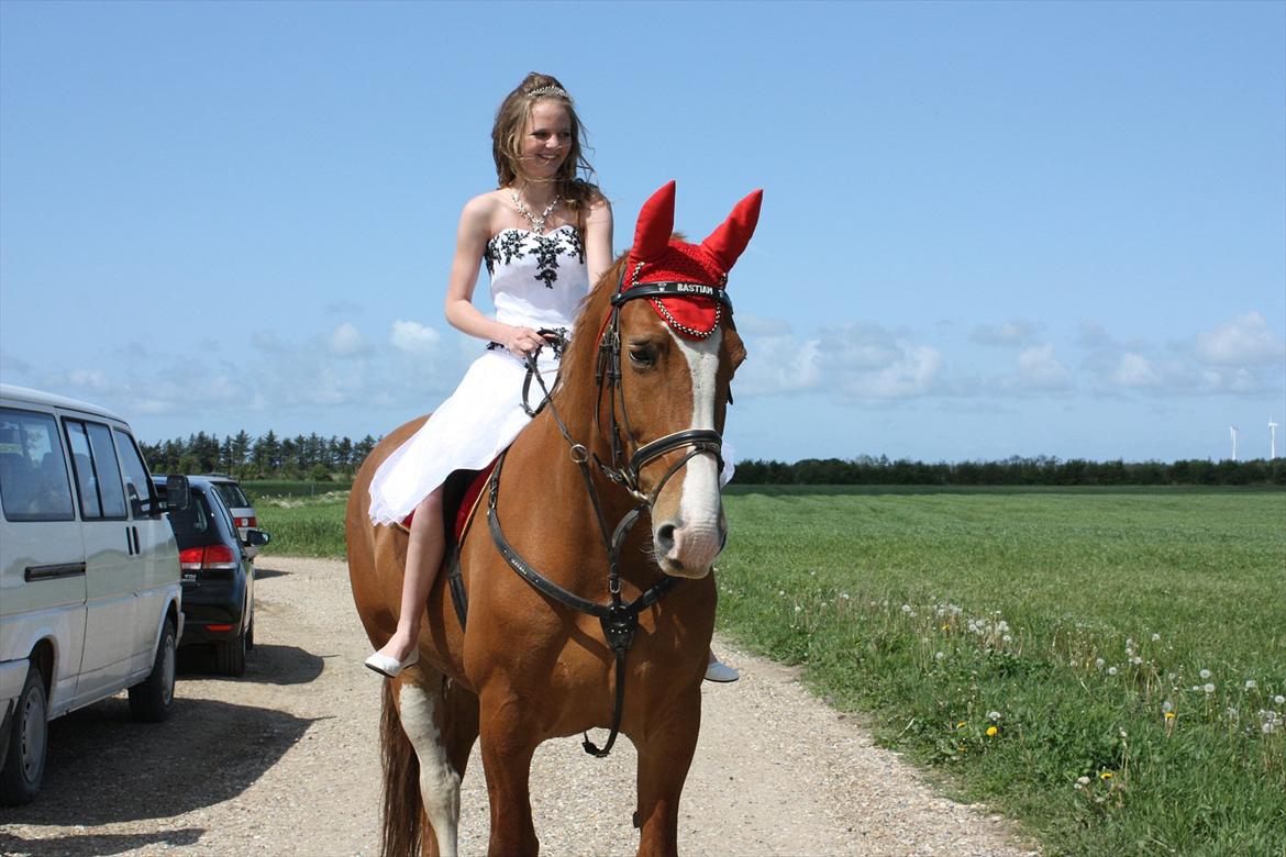 Frederiksborg Humlegårdens Bastian. billede 1