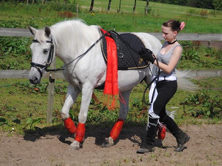 Pura Raza Española Blanca - Alta Escuela træning. Vi er stadig ret nye i det, men synes nu det går rigtig godt, for det meste. ;P - Foto: Kathrine Frosted billede 3