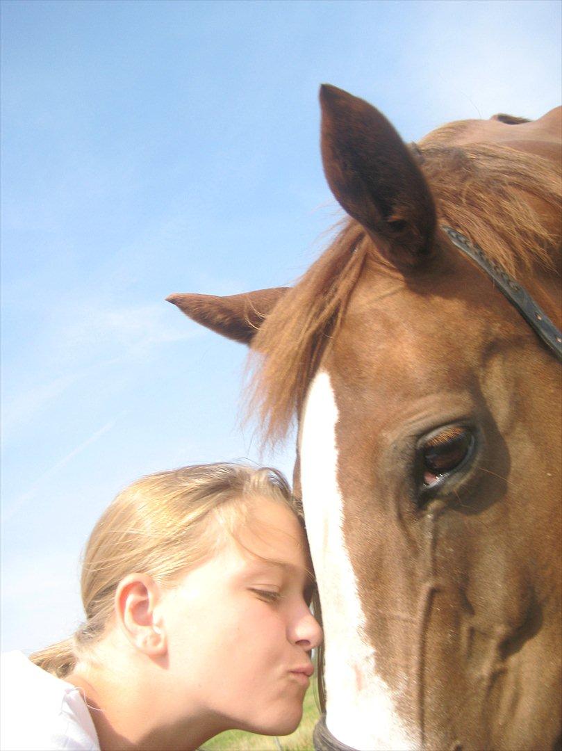 Anden særlig race Safi Rubin (SOLGT) billede 17