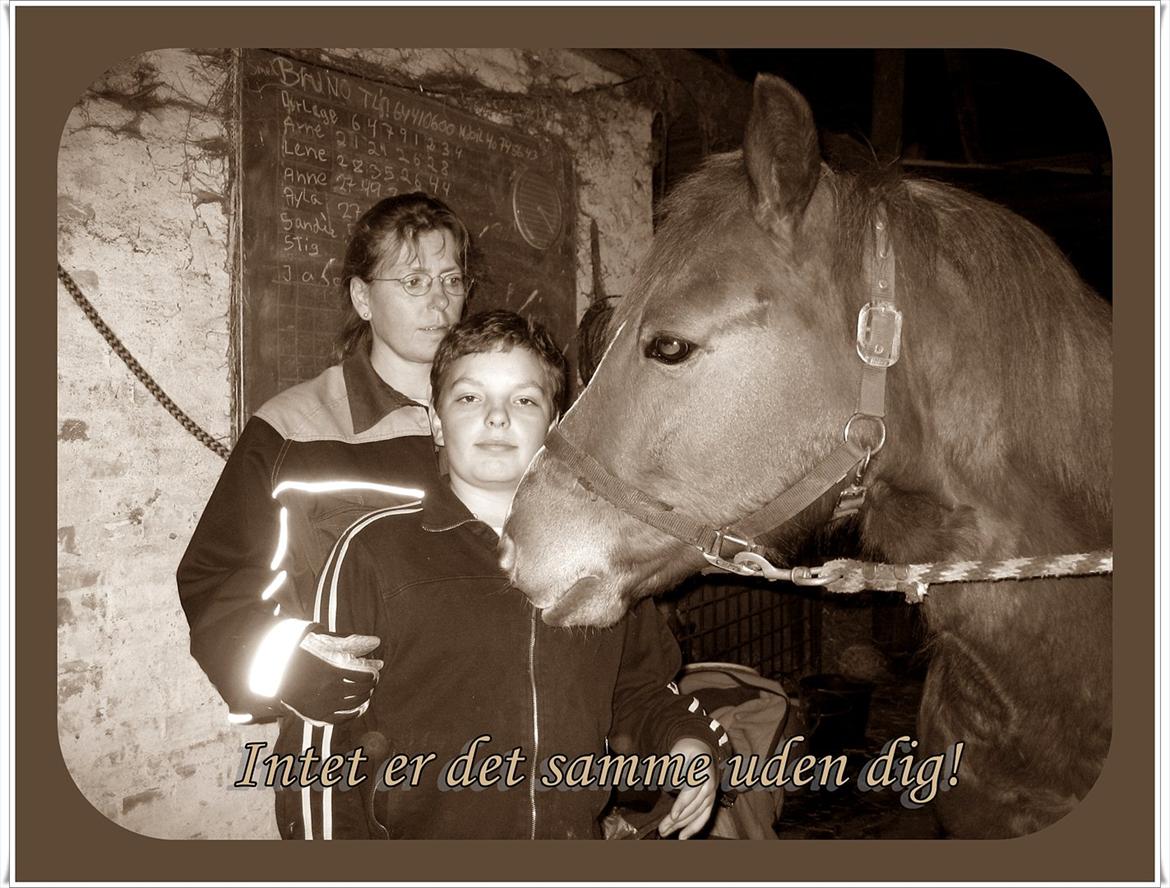 Anden særlig race R.I.P Bokki min skat :'( billede 16