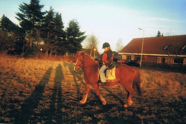 Anden særlig race R.I.P Bokki min skat :'( billede 17