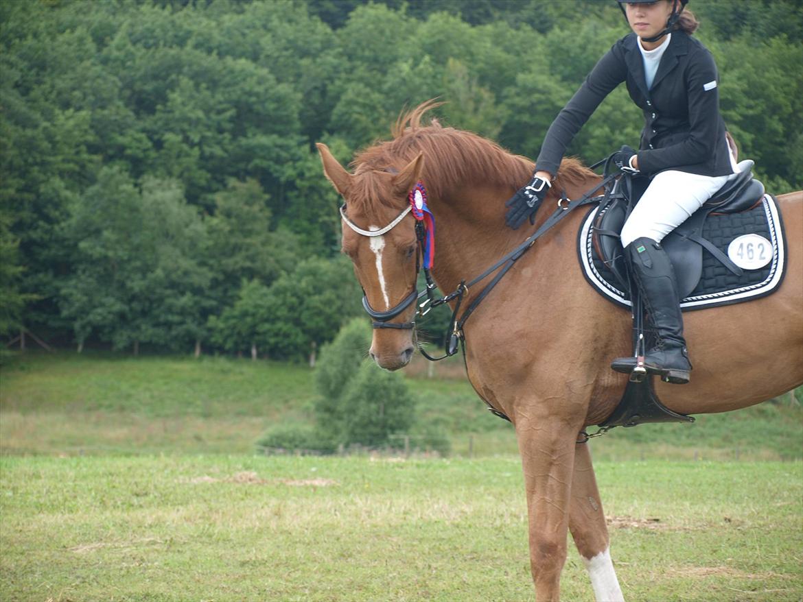 Dansk Varmblod Rolsted´s Cashot - nulrunde til Jyskrideuge <3 billede 2