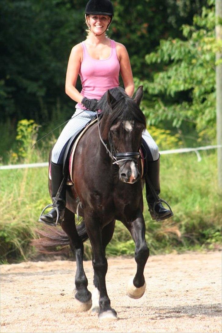 Welsh Cob (sec D) Valhallas Jesse James - D. 30. juli 2011 [Foto: Mille Berger] billede 14